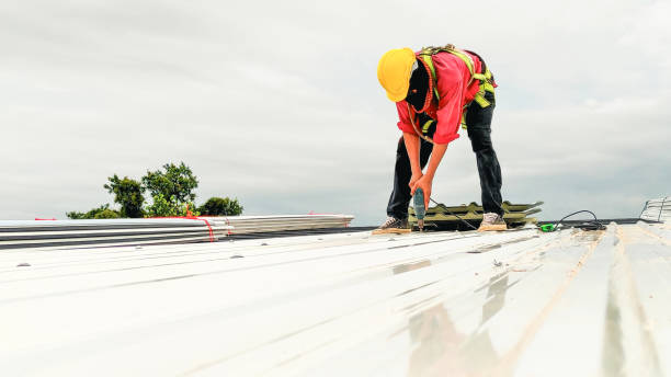 Best Roof Moss and Algae Removal  in South Carthage, TN